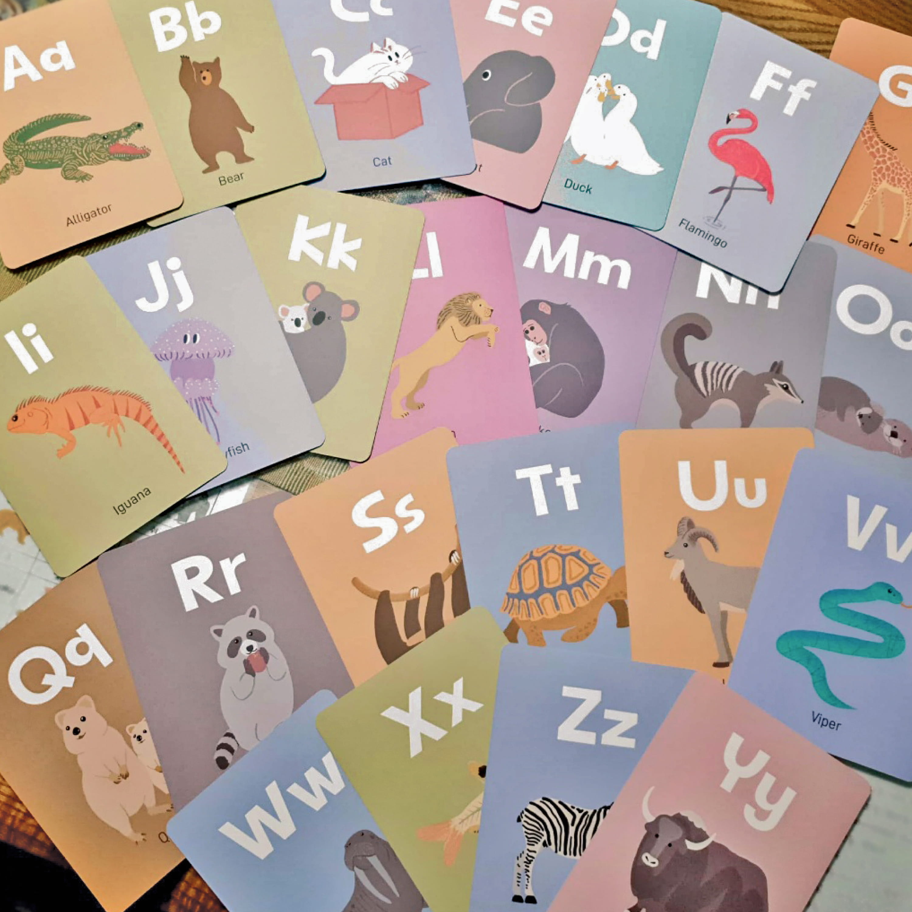 Alphabet educational print