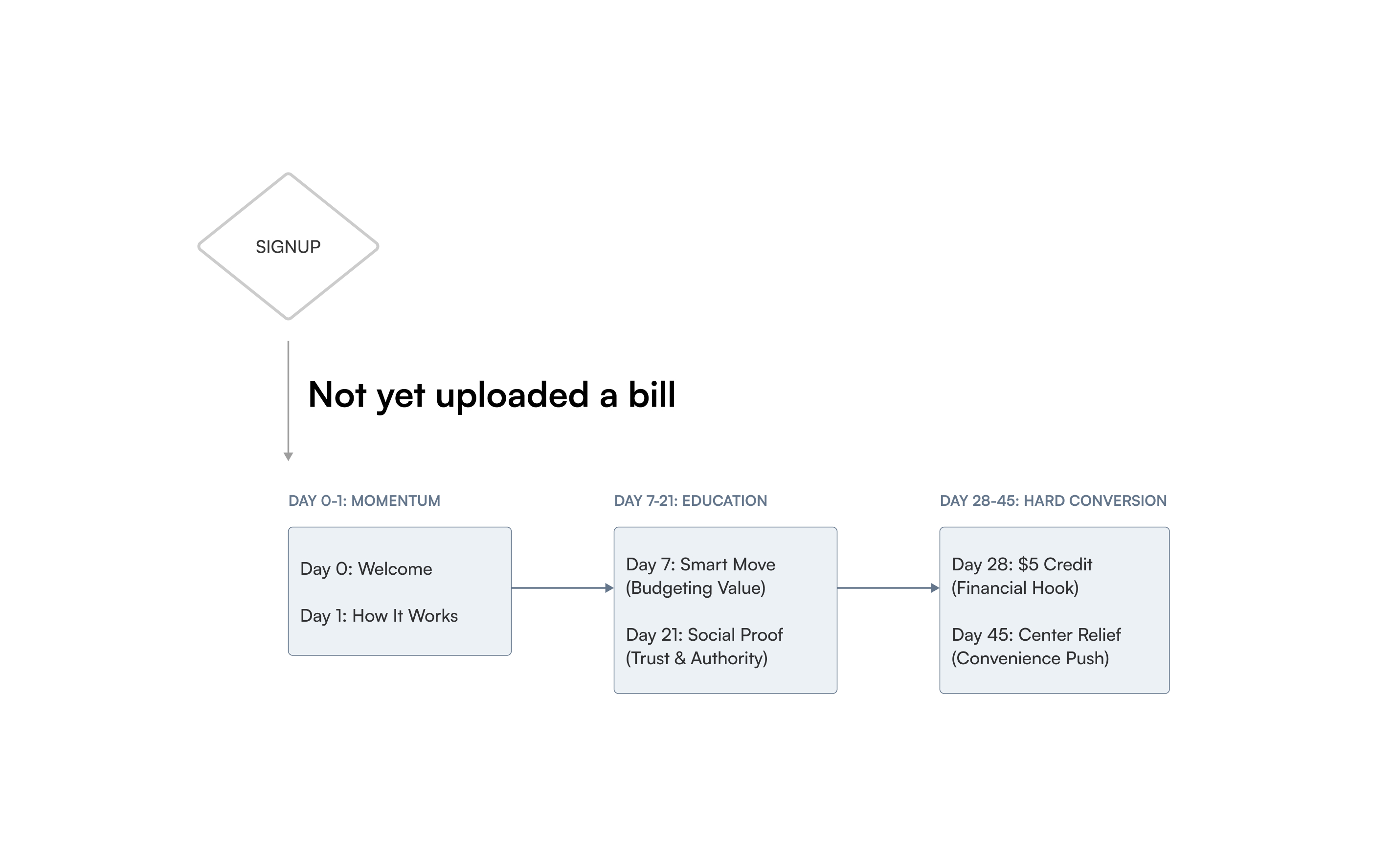 The 45-Day Lifecycle Journey Map